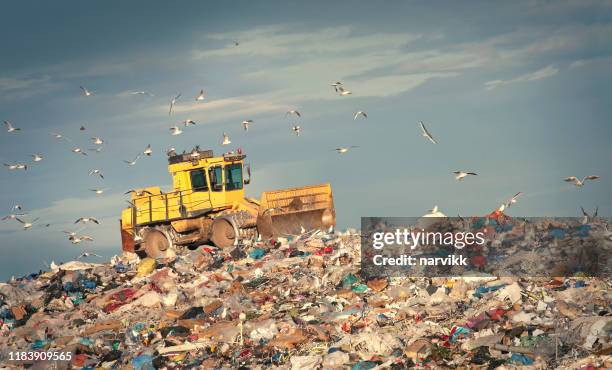 rifiutare compattatore che lavora in discarica - landfill foto e immagini stock