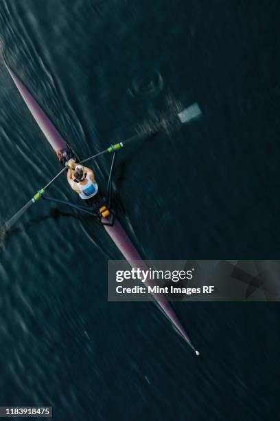 view from above of single scull crew racer, lake union, seattle, washington, usa. - rennrudern stock-fotos und bilder