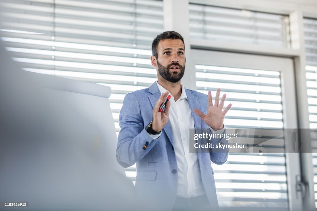 Young manager talking on a business presentation in a board room.
