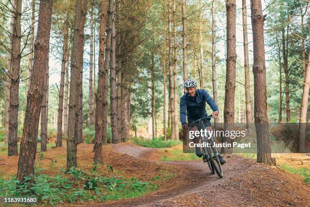 senior male on bike trail in forest - bicycle trail outdoor sports stockfoto's en -beelden