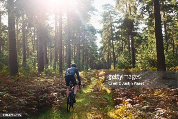 cyclist on forest path - bicycle trail outdoor sports stock-fotos und bilder