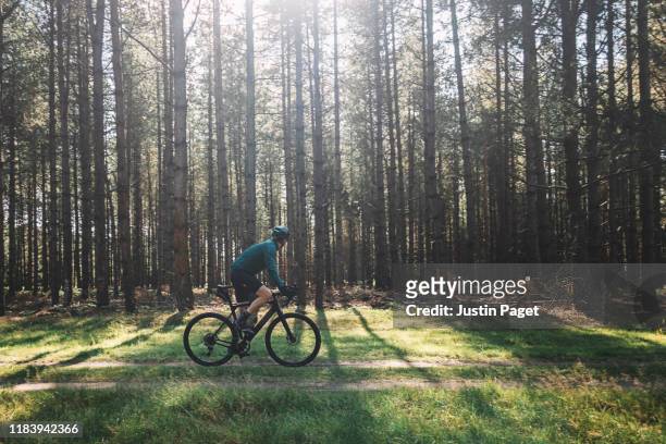 cyclist on forest path - leisure activity stock pictures, royalty-free photos & images