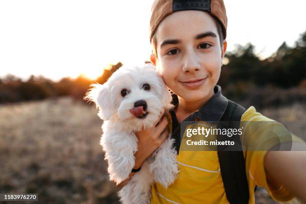 garçon prenant le selfie avec le crabot maltais - boy dog photos et images de collection