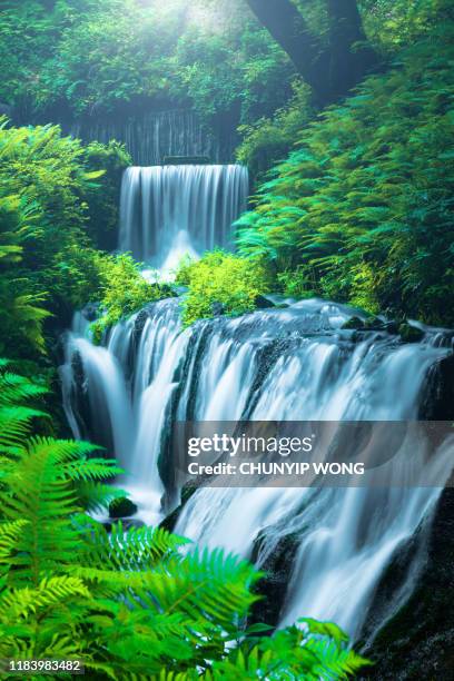 waterfall in karuizawa, japan - waterfall stock pictures, royalty-free photos & images