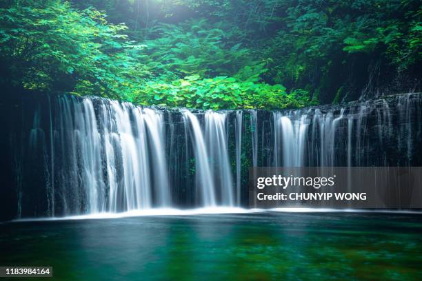 chute d'eau dans karuizawa, japon - karuizawa photos et images de collection