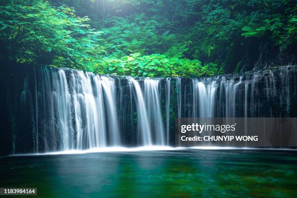 chute d'eau dans karuizawa, japon - waterfall photos et images de collection