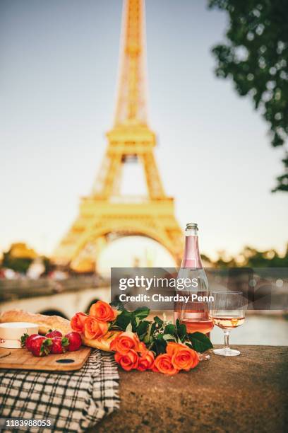 kom de ware betekenis van romantiek beleven - paris france stockfoto's en -beelden