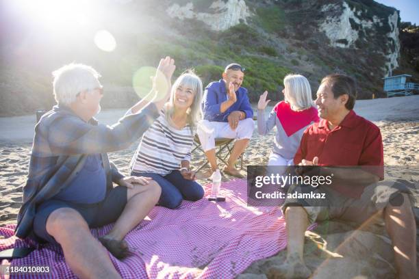 senior friends playing games at picnic - medicare advantage stock pictures, royalty-free photos & images