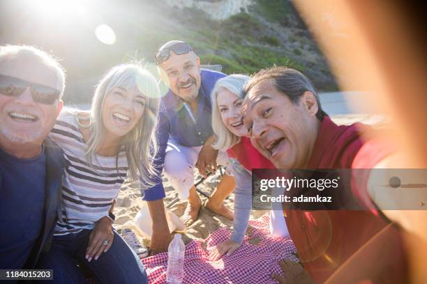 senior friends taking selfie at picnic - medicare advantage stock pictures, royalty-free photos & images