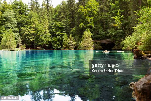 mountain lake with green and blue water, reflecting the image of very green trees on the banks. excursion. - basel sommer stock-fotos und bilder