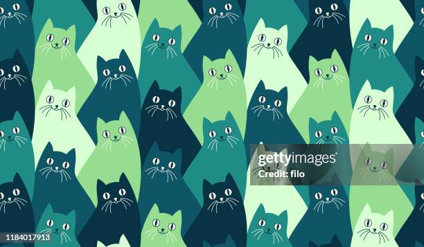 nahtlose kitty katze muster - hauskatze stock-grafiken, -clipart, -cartoons und -symbole