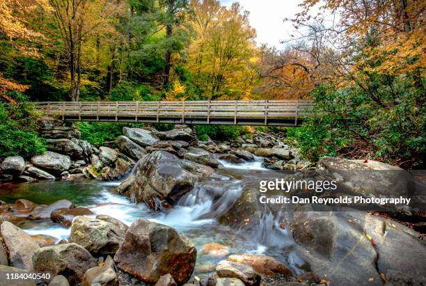 stream in mountain - gatlinburg stock pictures, royalty-free photos & images