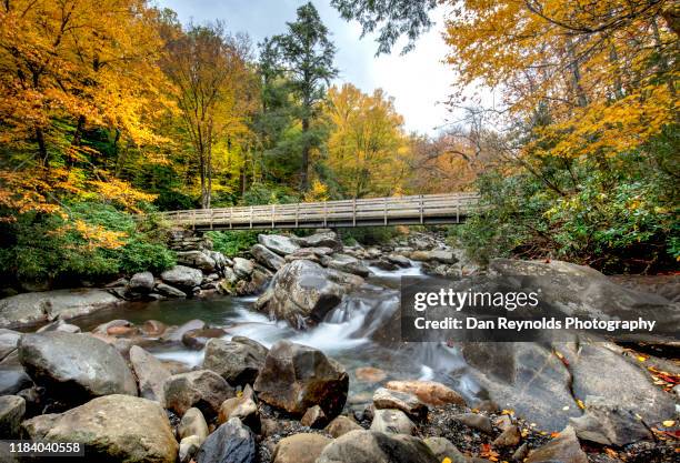 stream in mountain - dan peak fotografías e imágenes de stock