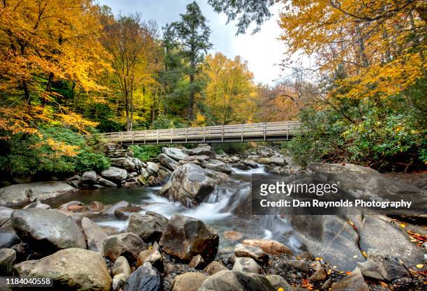 stream in mountain - gatlinburg stock pictures, royalty-free photos & images