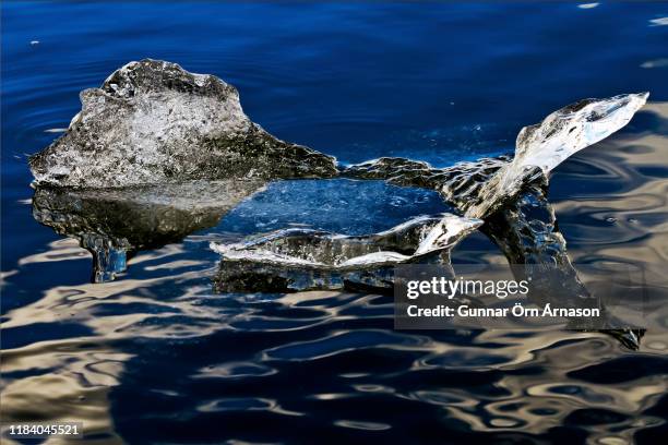ice, floating in water - gunnar örn árnason stock pictures, royalty-free photos & images