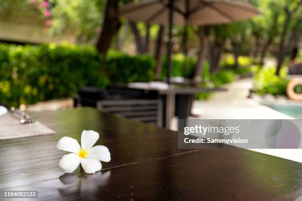 gardenia on the wooden table - gardenia stock pictures, royalty-free photos & images