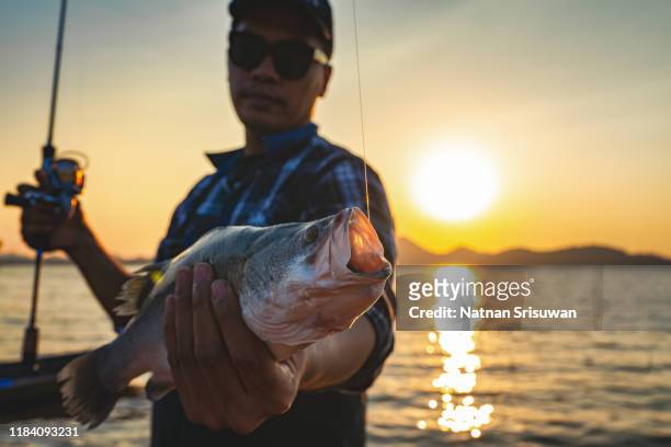 man fishing and holding fish on a lake. - catching fish stock pictures, royalty-free photos & images