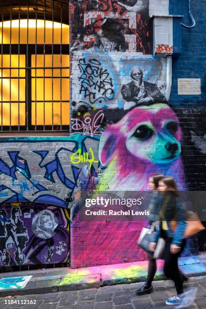 two women walk down hosier lane, popular with public street art - hosier lane melbourne stock pictures, royalty-free photos & images