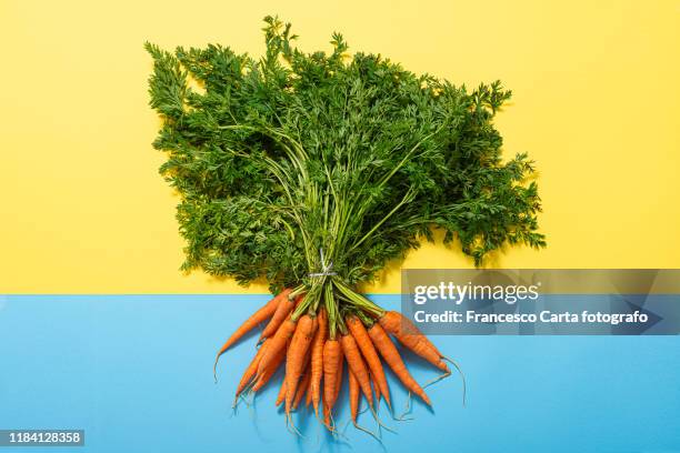 bunch of carrots - möhre stock-fotos und bilder