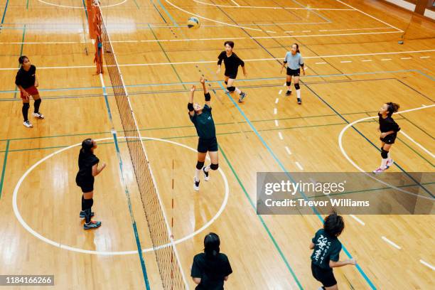 young girls playing a game during a team volleyball practice - zaalvolleybal stockfoto's en -beelden