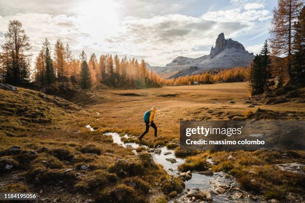 solo hiker walking on a high mountain plain - freizeitaktivität im freien stock-fotos und bilder