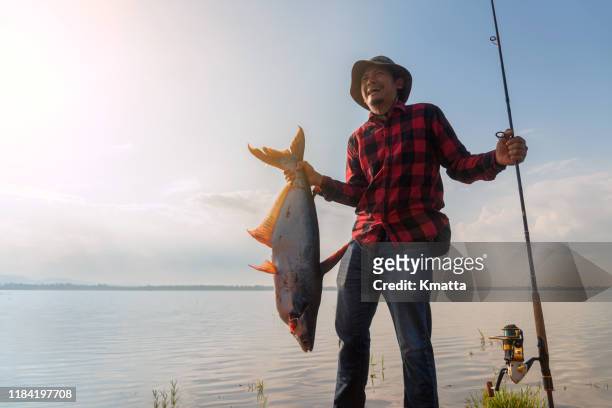 showing catch fish. - golden reel stock pictures, royalty-free photos & images