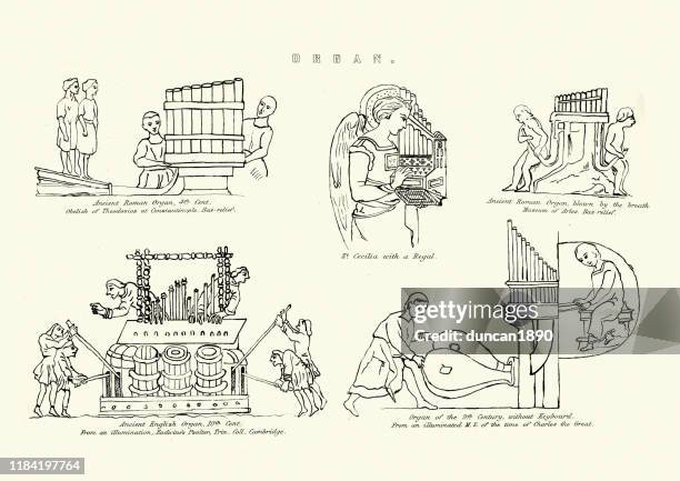 4,222 Organs Keyboard Instruments Stock Photos, High-Res Pictures, and ...