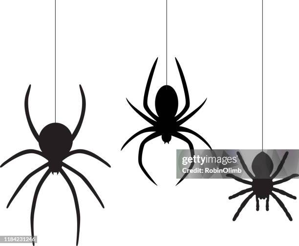 ilustraciones, imágenes clip art, dibujos animados e iconos de stock de tres arañas colgantes - spider