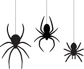 Three Dangling Spiders