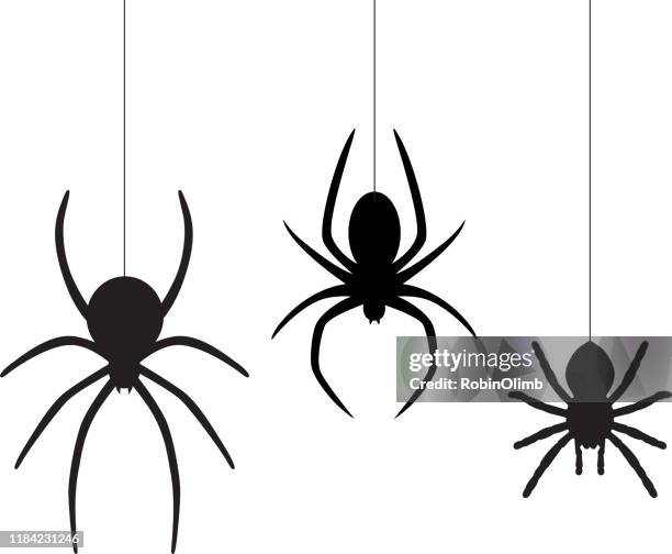 三個懸空蜘蛛 - spider 幅插畫檔、美工圖案、卡通及圖標