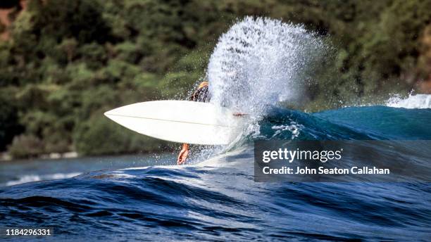 indonesia, surfing in the indian ocean - nusa tengara oriental imagens e fotografias de stock
