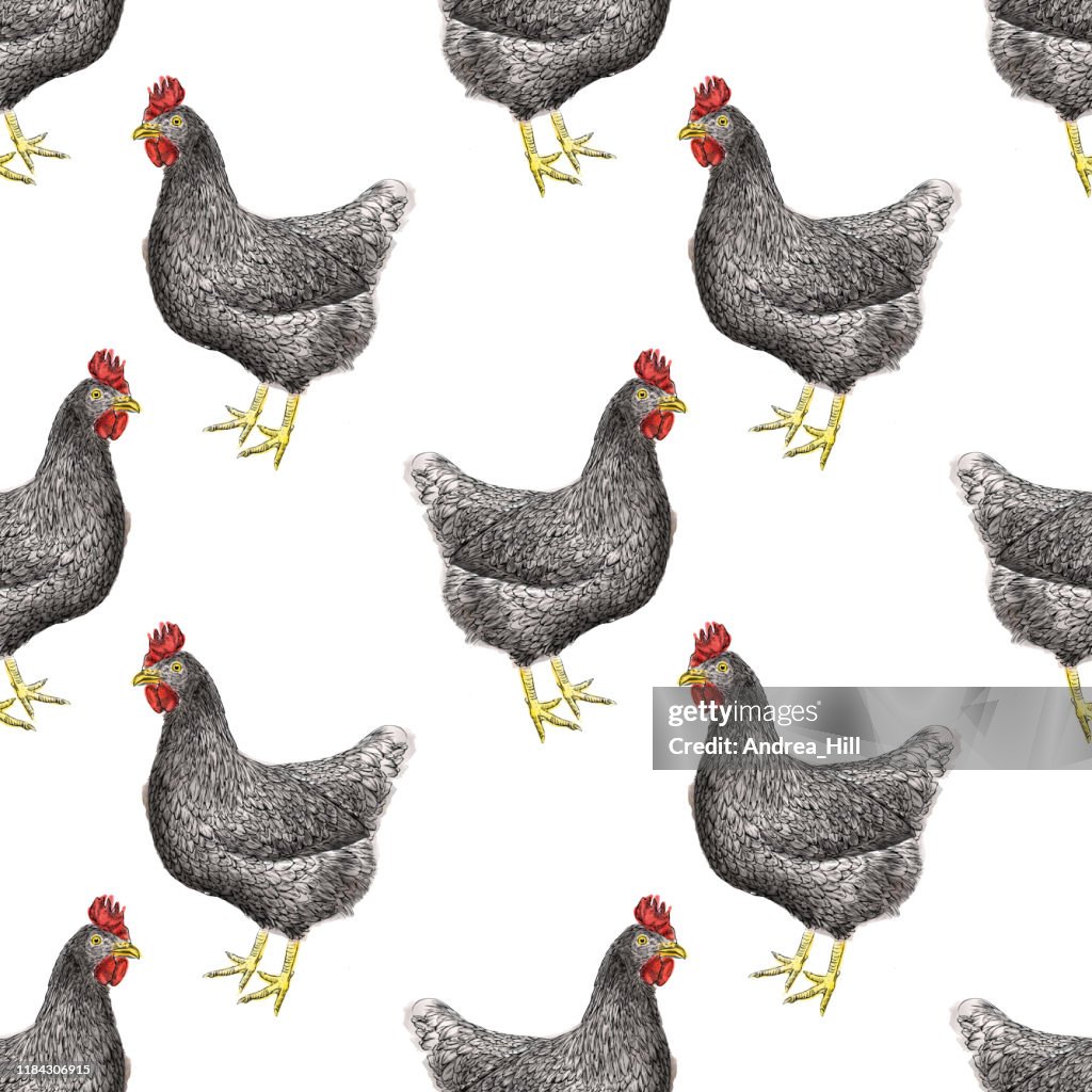Chickens Seamless Pattern Vector Illustration in Watercolor and Ink