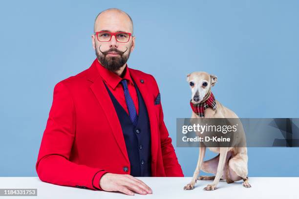 stylish well dressed gentleman having studio photoshoot - well dressed dog stock pictures, royalty-free photos & images