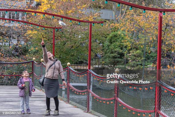 mom pointing at a ride on tivoli bridge - tivoli stock pictures, royalty-free photos & images