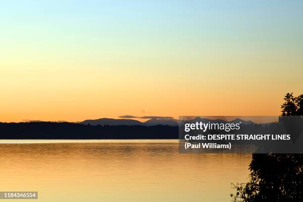 slip within the golden hour - princess patricia of connaught stock pictures, royalty-free photos & images