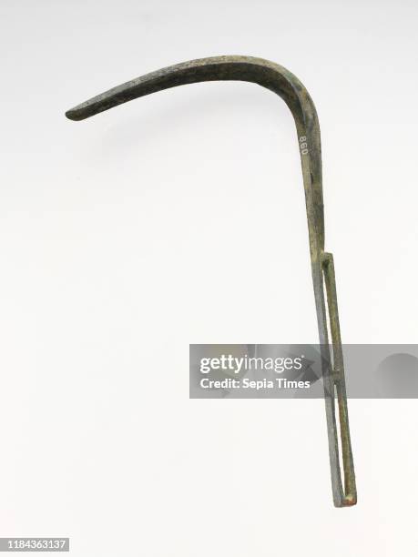Srigil 60 Strigil Stock Photos, High-Res Pictures, and Images - Getty Images