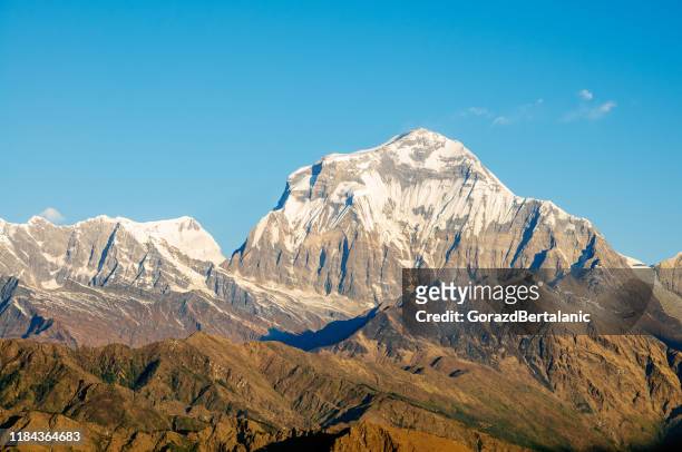 morgenansicht von dhaulagiri von poon hill, nepal - dhaulagiri stock-fotos und bilder