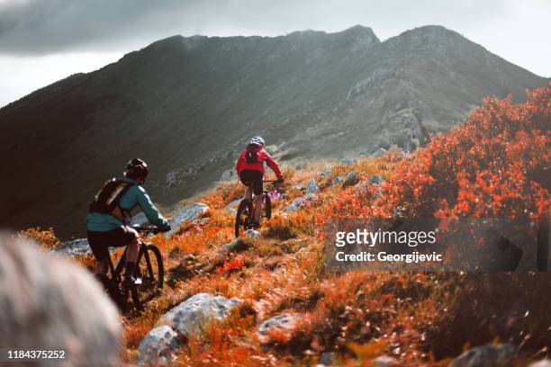 mountain cycling - sports cyclist stockfoto's en -beelden