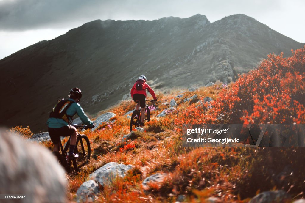 Mountain cycling