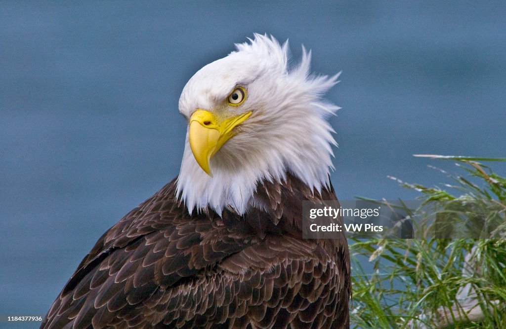 Nature and Wildlife