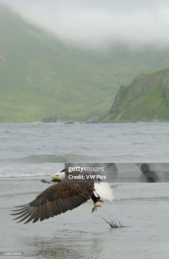 Nature and Wildlife
