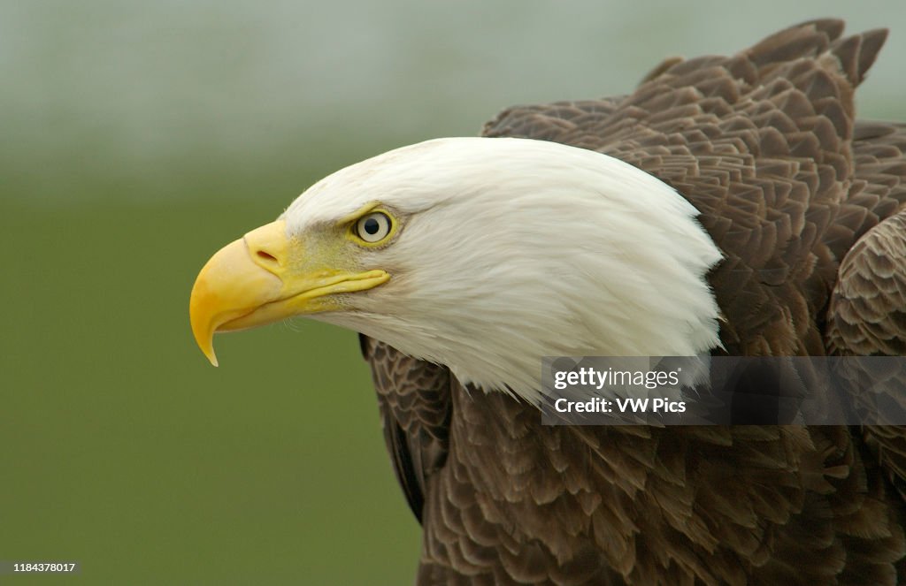 Nature and Wildlife