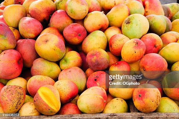 bunch of mangoes at a fruit stand - miranda kerr new face of mango stockfoto's en -beelden