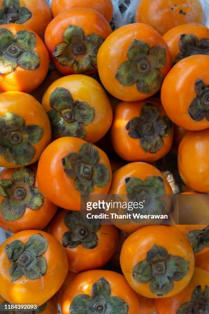 persimmon fruit background. - 柿 ストックフォトと画像