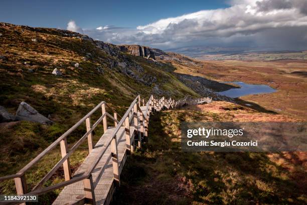 stairway to heaven - enniskillen stockfoto's en -beelden