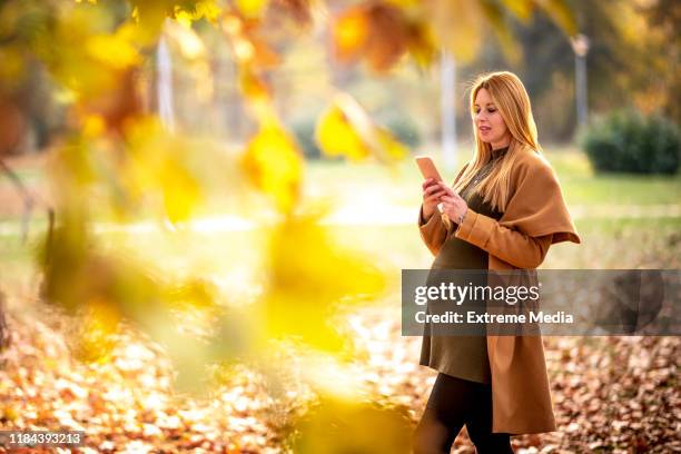 秋の間に自然の公園を歩きながら携帯電話を使用してブロンドの妊娠中の女性 - オーバーコート ストックフォトと画像