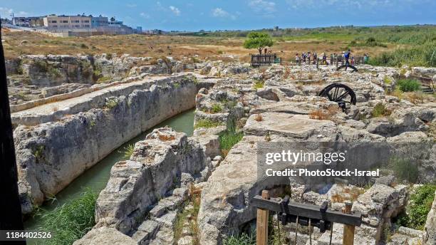 Mill Stream 28 Mill Stream Nature Reserve Stock Photos, High-Res Pictures, and ...