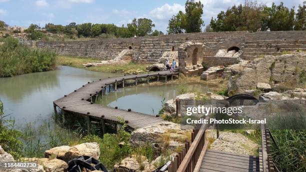 Mill Stream 28 Mill Stream Nature Reserve Stock Photos, High-Res Pictures, and ...