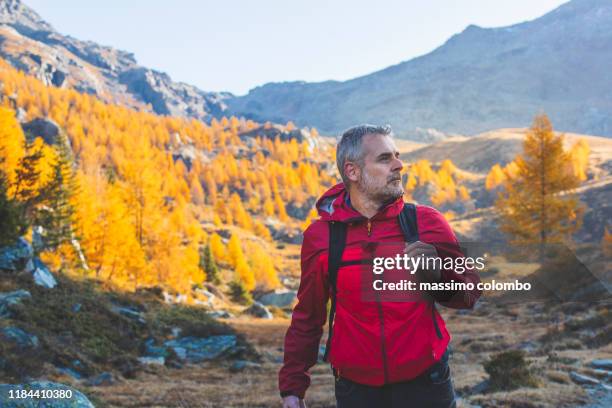 solo hiker walking on mountain trail - daily life in colombo stock-fotos und bilder