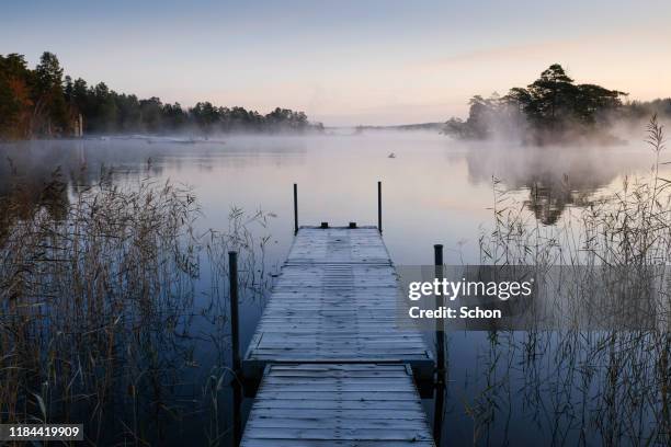 a jetty on a still lake with reed and morning fog one autumn morning - nordic nature stock pictures, royalty-free photos & images